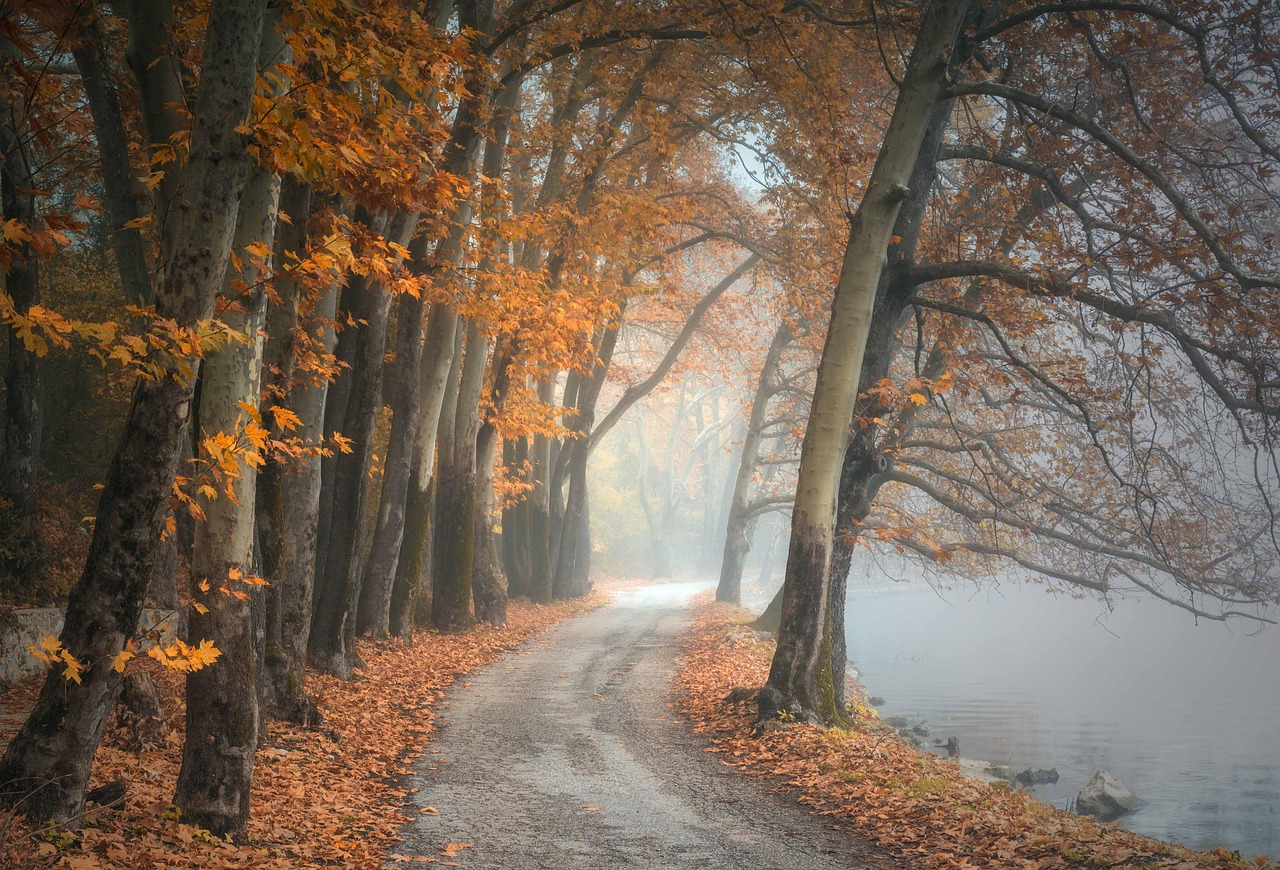 Autumn Path